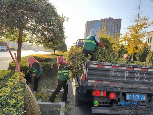 甘州區園林綠化中心秋季修剪與生活垃圾管理并行，提升城市環境品質