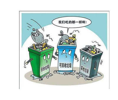 構建高效城市生活垃圾分類管理體系 策略與實踐