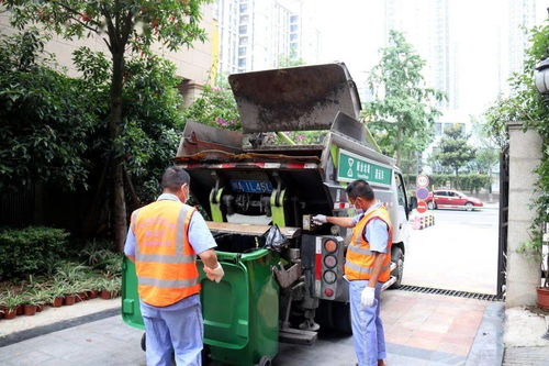自帶“美顏”功能 生活垃圾分類讓城市顏值與經營服務雙提升